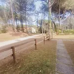 Lignano Riviera appartamento appena ristrutturato
